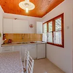 Ivna וולי לוסיניי